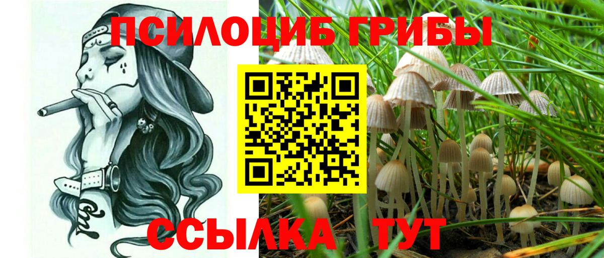 Галлюциногенные грибы Cubensis  Вход с VPN  Гагарин 