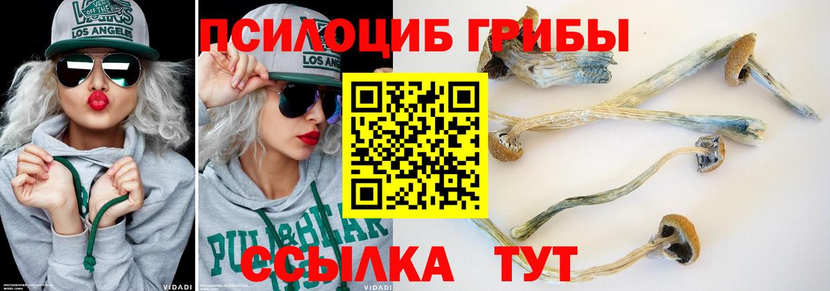 Alpha-PVP СК кристаллы  Вход с VPN  Мефедрон   ГАШИШ  Гагарин  Каннабис  Конопля 